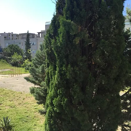Apartment Charm Of Split